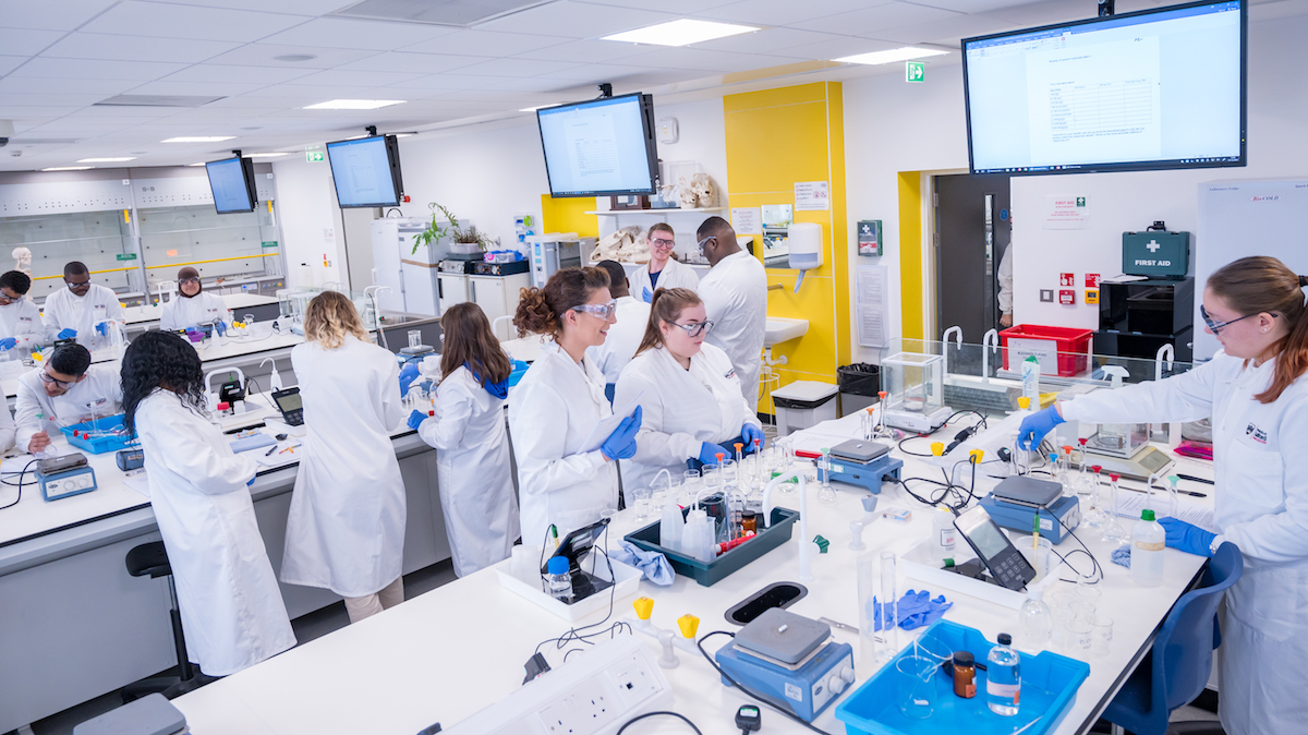 Students working in the Bodmer Labs