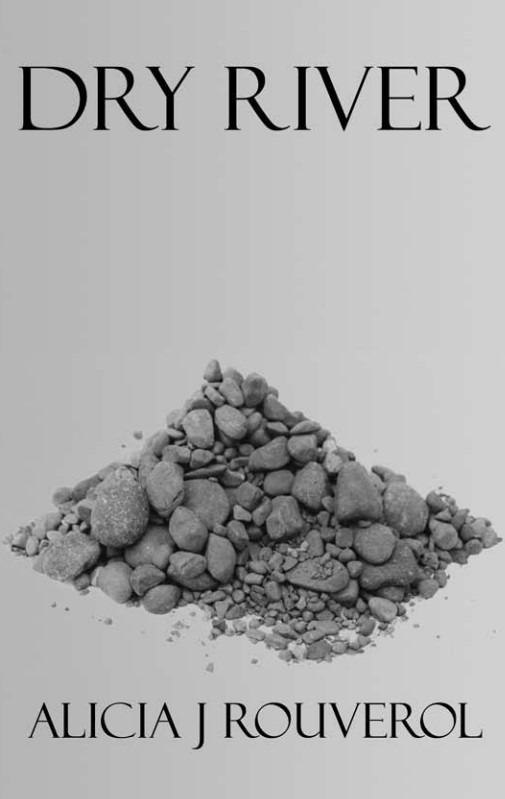 Image is of the cover of the book with pebbles stretched out across a grey background