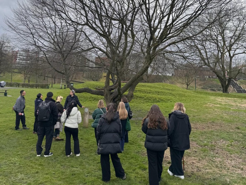 A group of people engaging with the salford tree trail