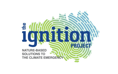 The Ignition Project logo