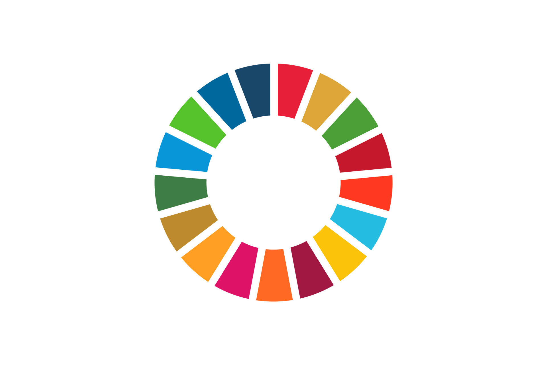 The Sustainable Development Goals logo