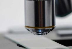 A microscope and glass slide