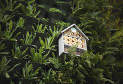 Green living wall with bug box made of wood