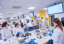 Practical session taking place in the University's Bodmer Laboratory