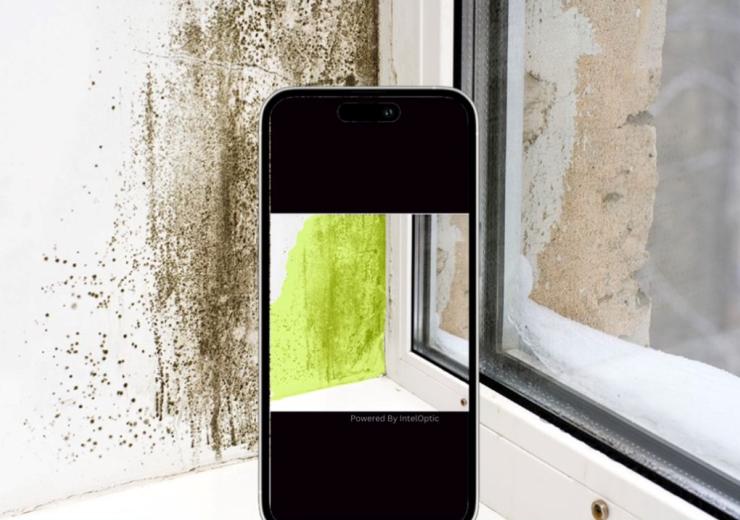 Mobile phone identifying mould on a windowsill