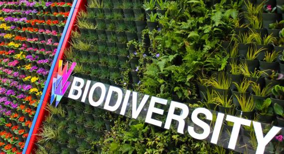 Ignition Green Wall on Cockcroft Building with Biodiversity lettering